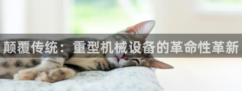 龙八国际app手机版下载苹果