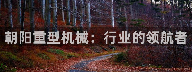 龙八国际相仿平台