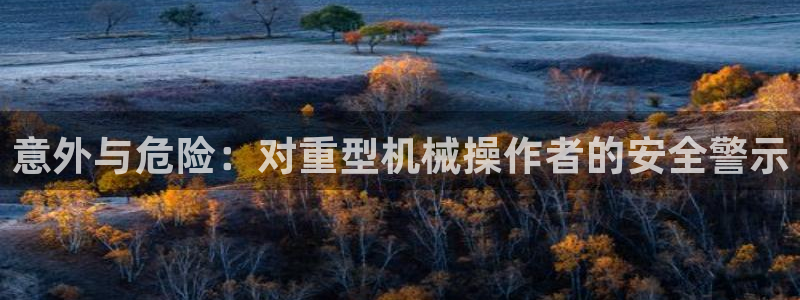 龙八国际官方旗舰店