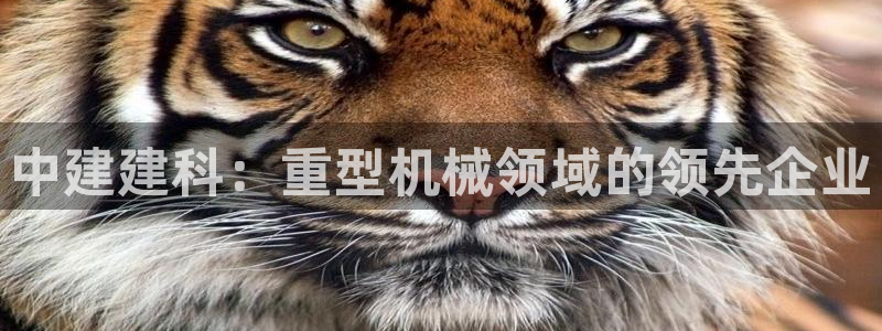 龙八国际官网网址