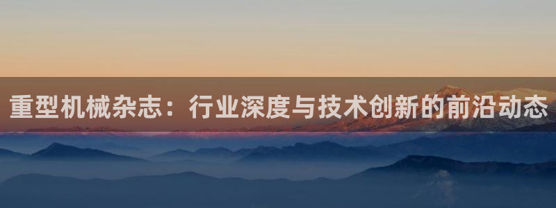 龙八国际是什么软件