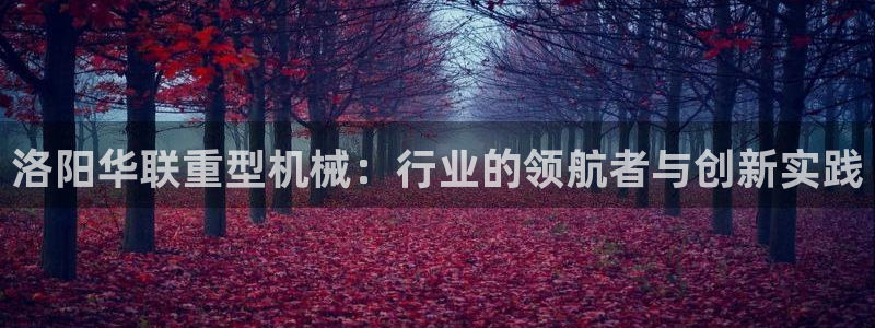 龙八国际集团有限公司