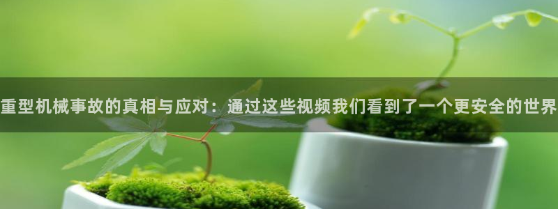 龙八国际怎么进不去了