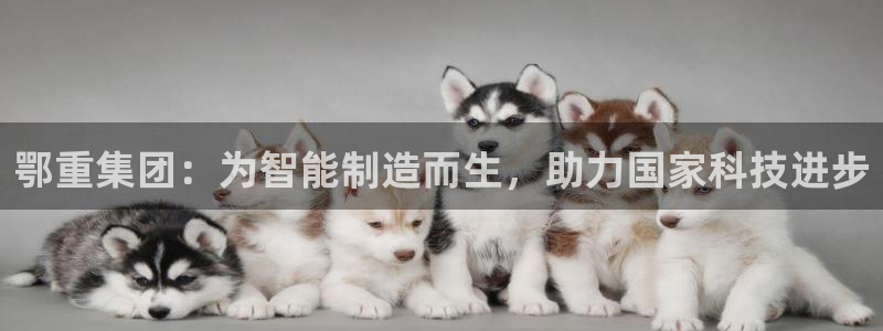 龙八国际娱乐官方网站