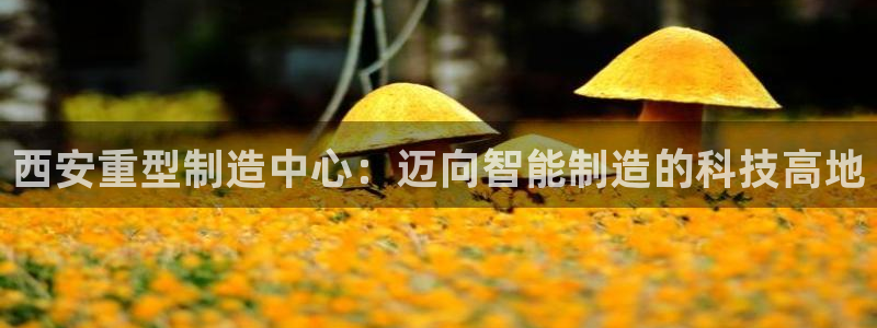 龙八国际官方网站入口