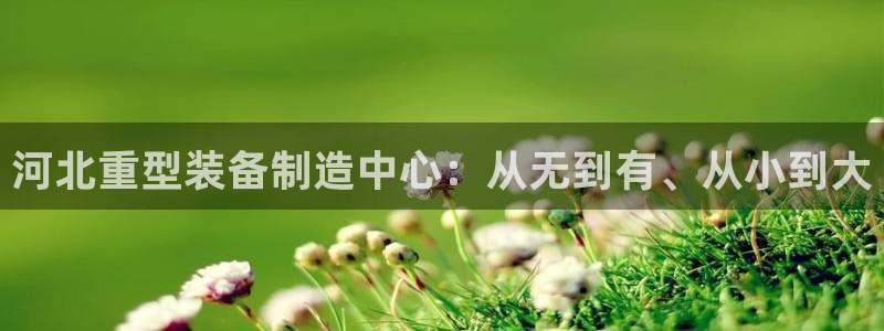 龙八国际手机下载安装