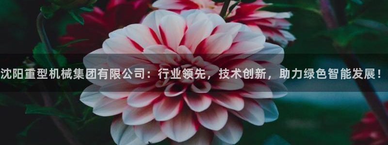 龙八国际娱乐 pt