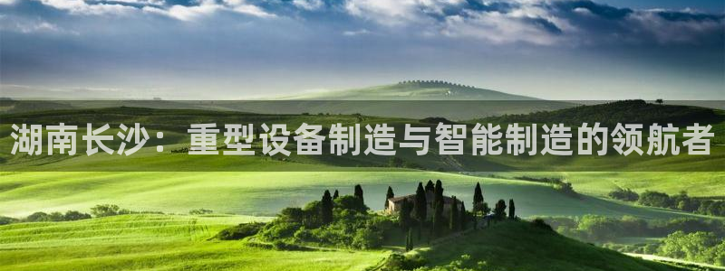 怎么举报龙八国际