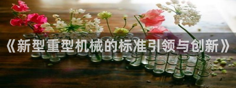 龙八国际唯一官网