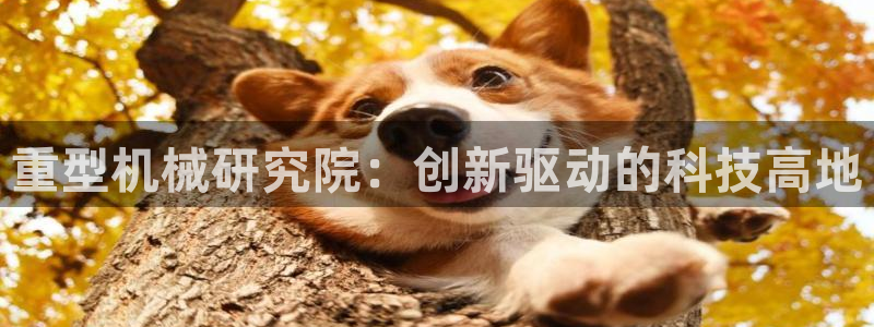 龙八国际城网站