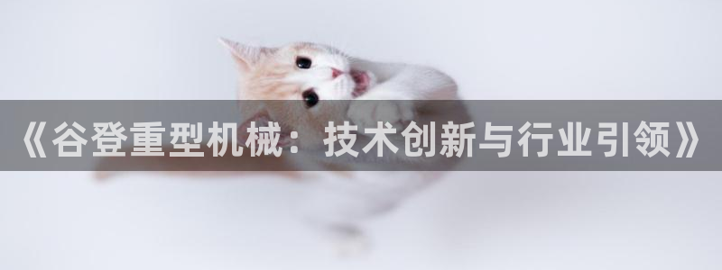 龙八国际电子游戏