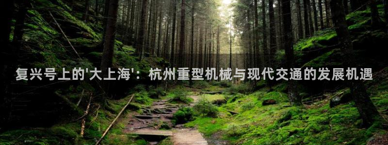 龙八国际手机游戏官网