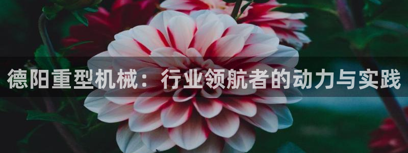 龙八国际游戏下载地址