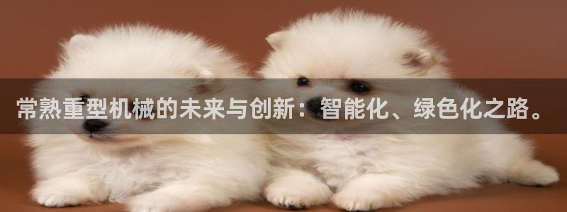 龙八国际b48点tv