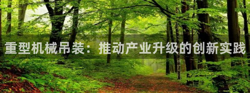 龙八国际在线网址