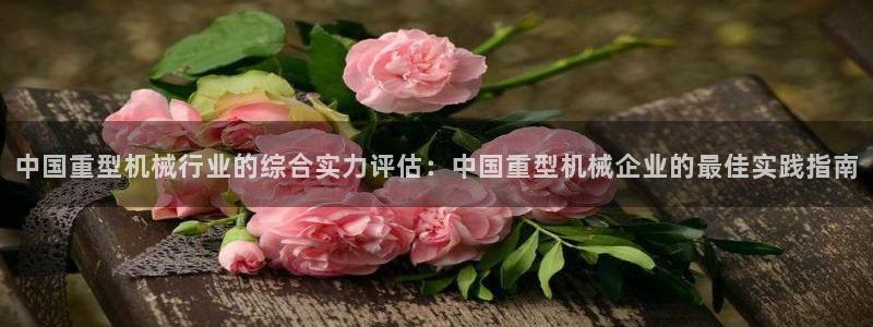 龙八国际在线下载