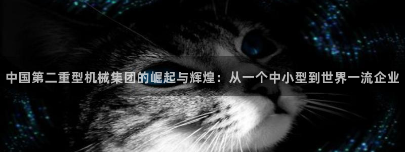 龙八国际苹果版下载