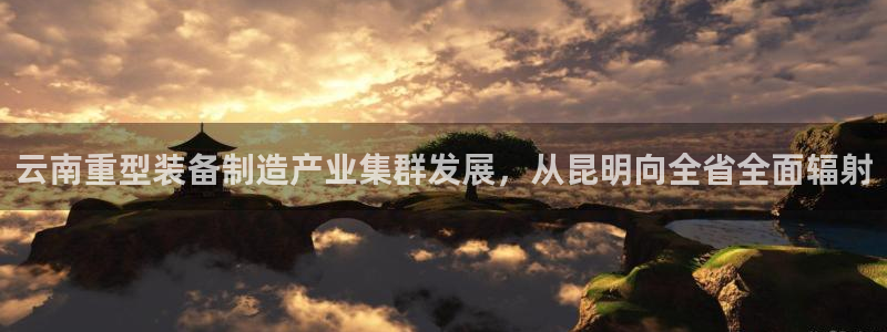 龙八国际是干什么的