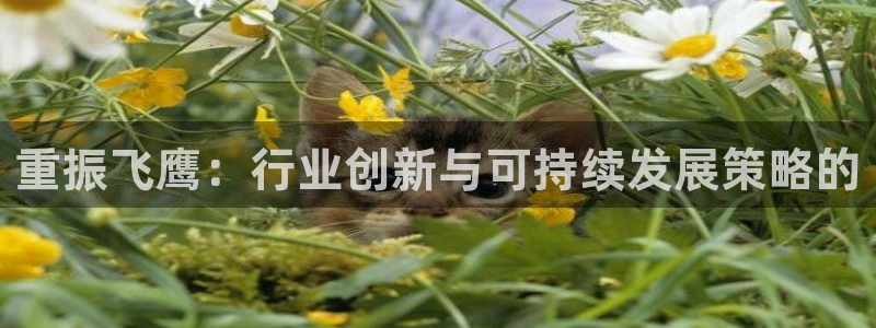 龙八国际优惠券有什么用