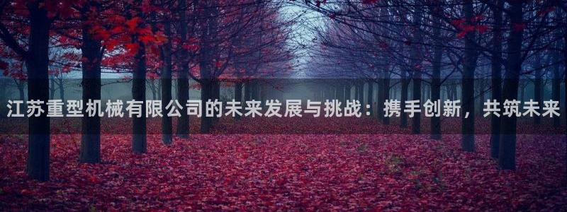 不会玩龙八国际