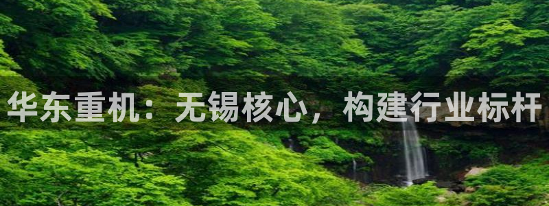 龙八国际可以京东充值吗