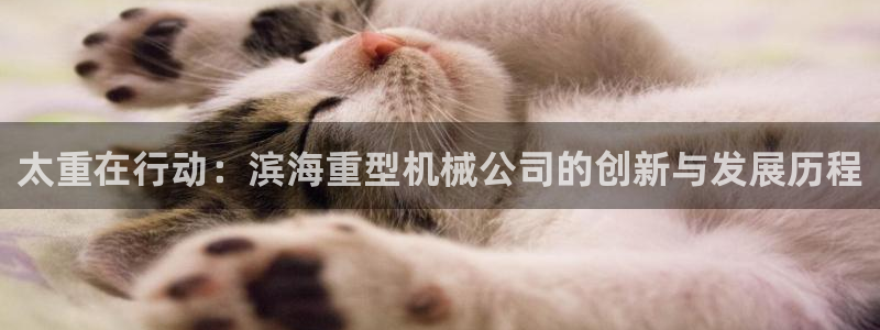 龙八国际平台网站