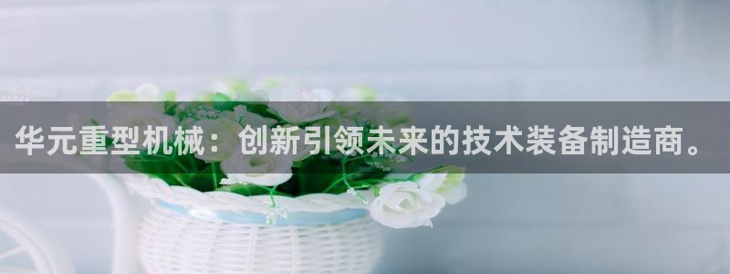 龙八国际电子游戏