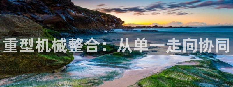 龙八国际头号玩家下截