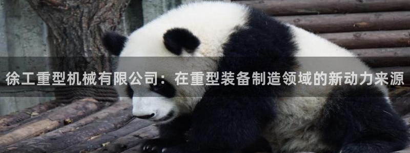 龙八国际官方网站手机版