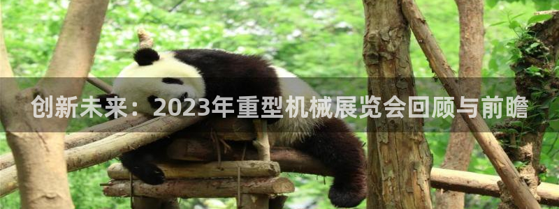 菲律宾龙八国际