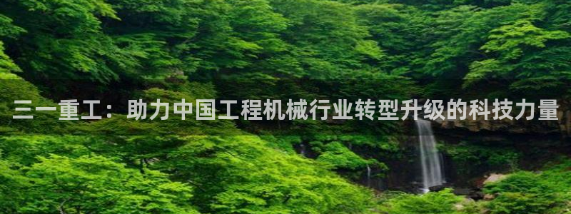 龙八国际官首页