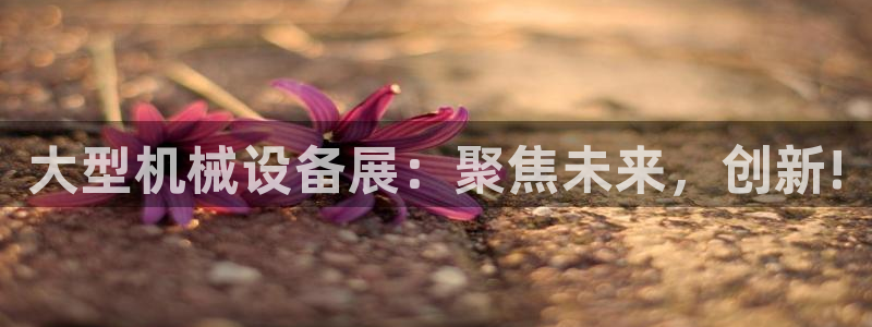 l龙八国际网页登录