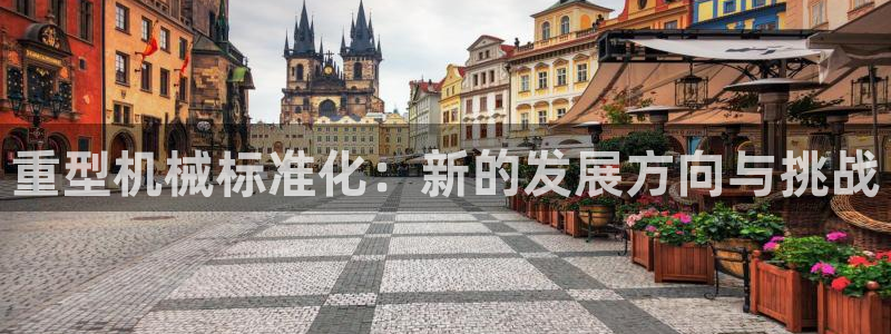 头号玩家龙八国际网址