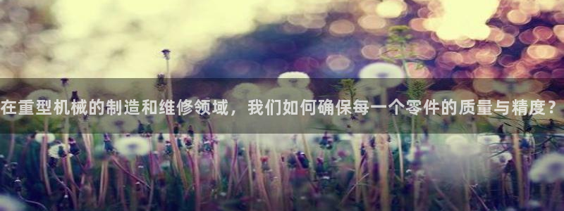 下载龙八国际app