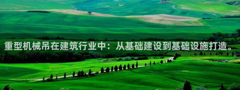 龙八国际手机版下载官网