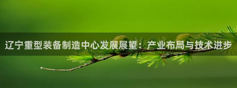龙八国际app官方下载