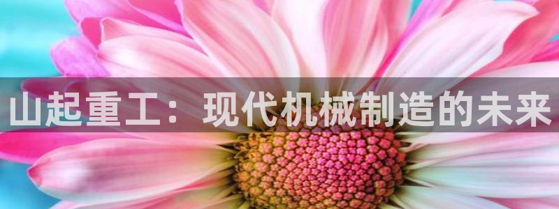 龙八国际头号玩家下截