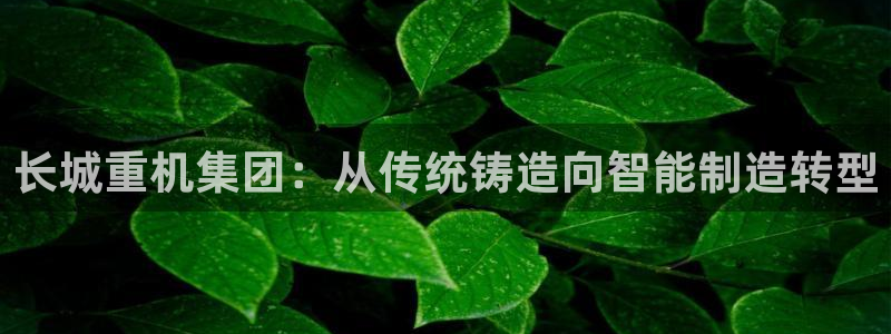 龙八国际官网首页
