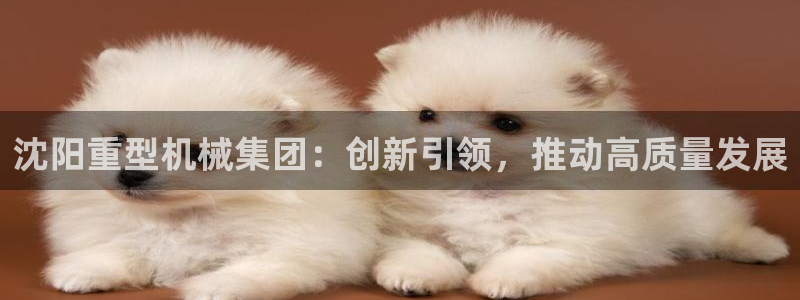 龙八国际app手机版下载安卓