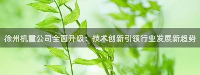 龙八国际有限责任公司