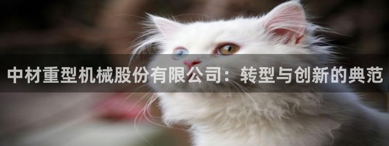 龙八国际手机下载地址