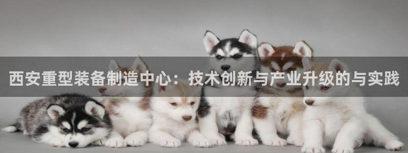 龙八国际娱乐