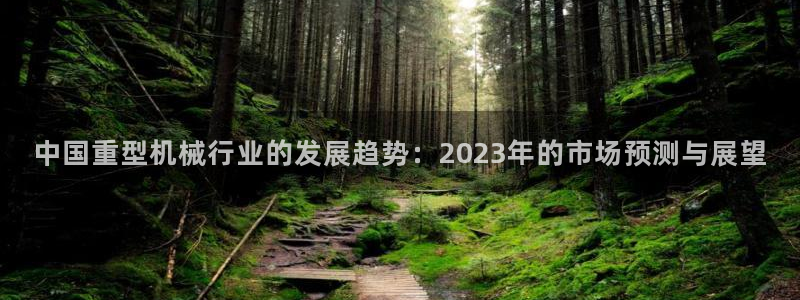 菲律宾的龙八国际