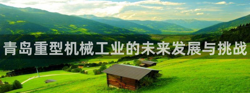 龙八国际华