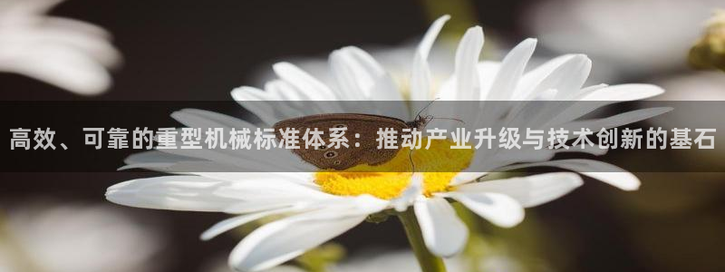 举报龙八国际