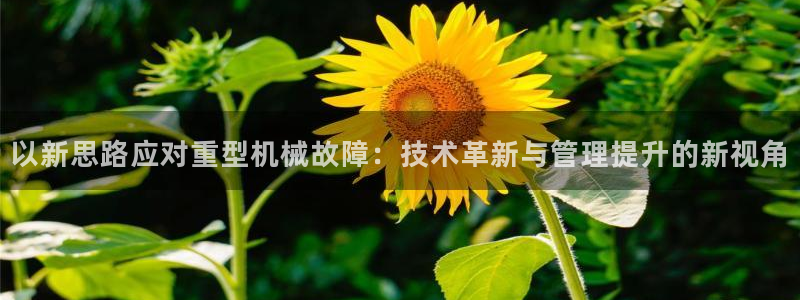 龙八国际官网网址
