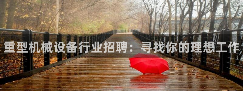 龙八国际long88