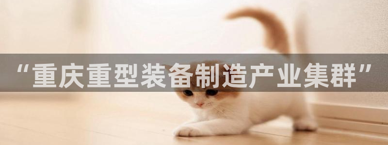 龙八国际app是什么